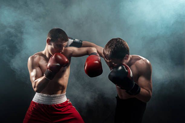 Pro Warrior MMA And Fitness Gym photo (Gym's own website)