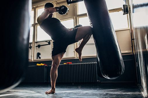 Pro Warrior MMA And Fitness Gym photo (Gym's own website)